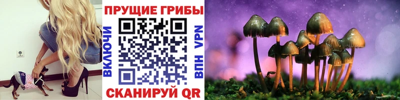 Галлюциногенные грибы Psilocybine cubensis  Купить где  Чухлома 